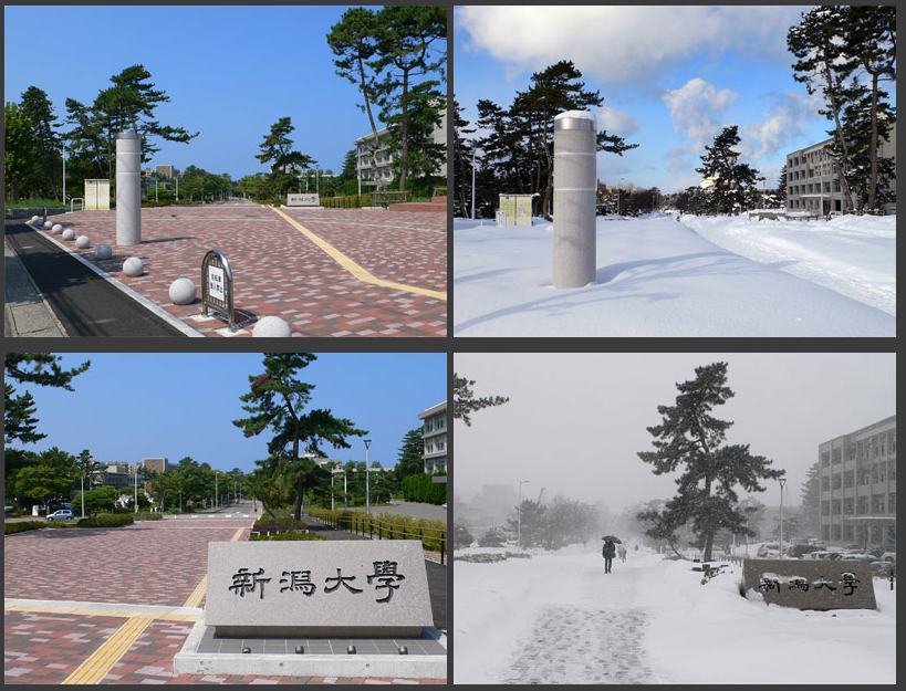 学医日本留学比较好的学校,日本医学最知名的6所学校介绍(图3)