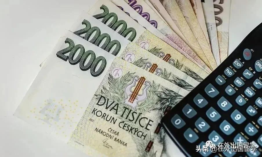 新西兰留学怎样申请奖学金呢,2024新西兰奖学金申请条件及步骤一览(图2)