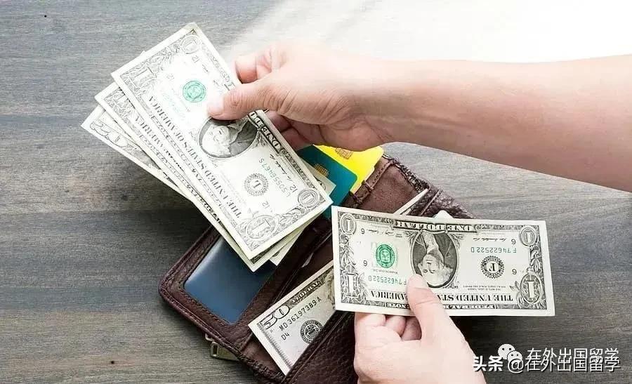 新西兰留学怎样申请奖学金呢,2024新西兰奖学金申请条件及步骤一览(图3)