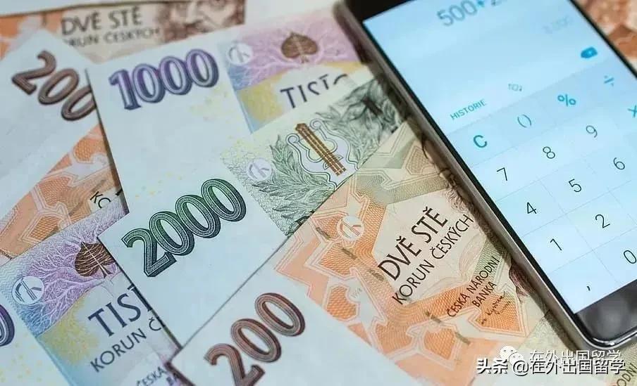 新西兰留学怎样申请奖学金呢,2024新西兰奖学金申请条件及步骤一览(图4)