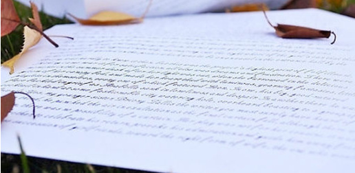 留学申请文书怎么写,优质申请文书的写作指南攻略分享(图4)