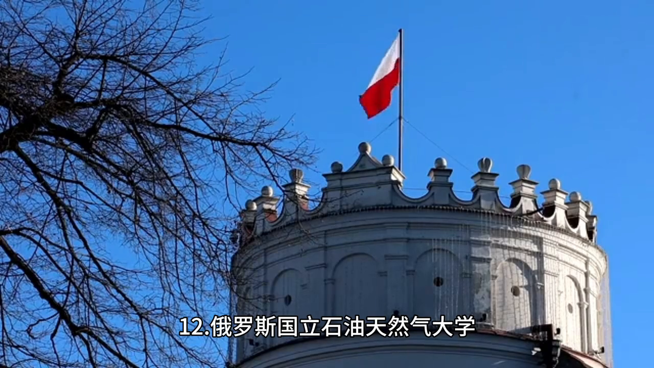 怎么申请俄罗斯公费留学,俄罗斯公费留学申请的相关条件及详细流程分享(图5)