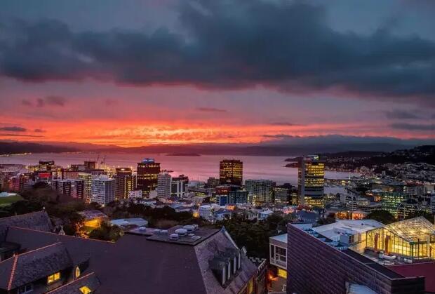 新西兰护理留学要求有哪些,新西兰留学护理的条件分享附院校推荐(图2)