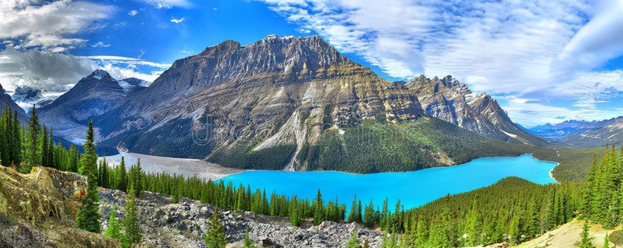 加拿大留学需要用到的app有哪些,加拿大留学生活必备的6大类APP推荐(图4)