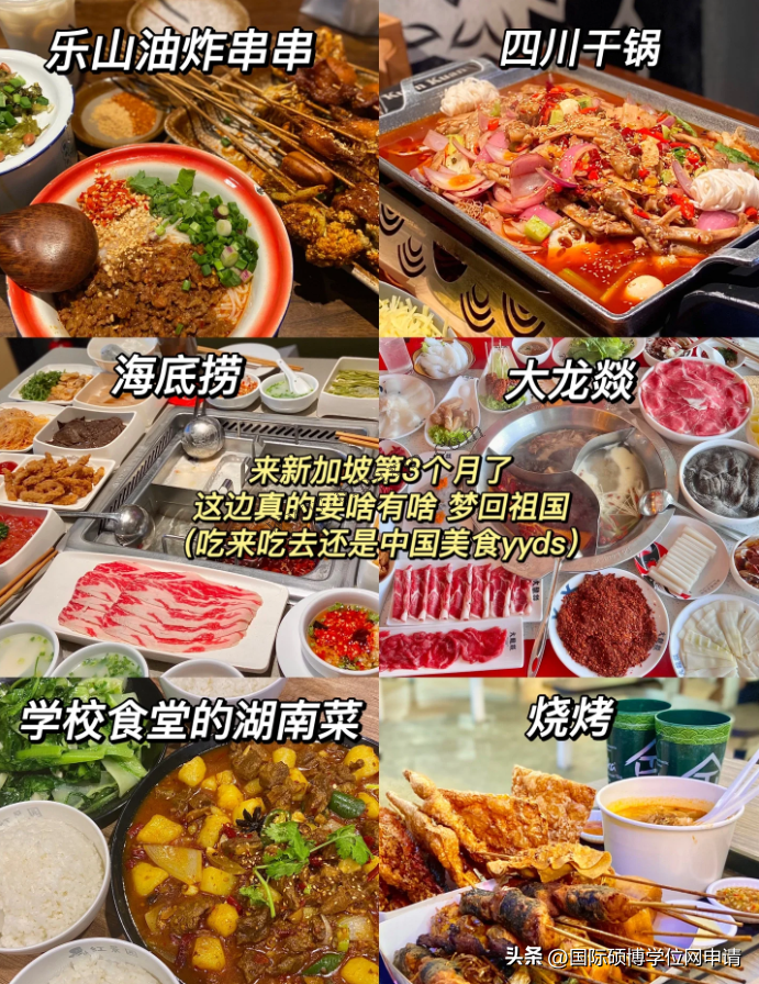 硕士新加坡留学费用大概多少,2024新加坡硕士研究生费用大曝光(图8)