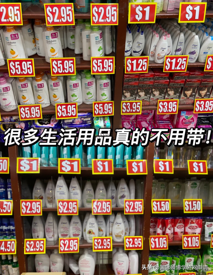 硕士新加坡留学费用大概多少,2024新加坡硕士研究生费用大曝光(图6)