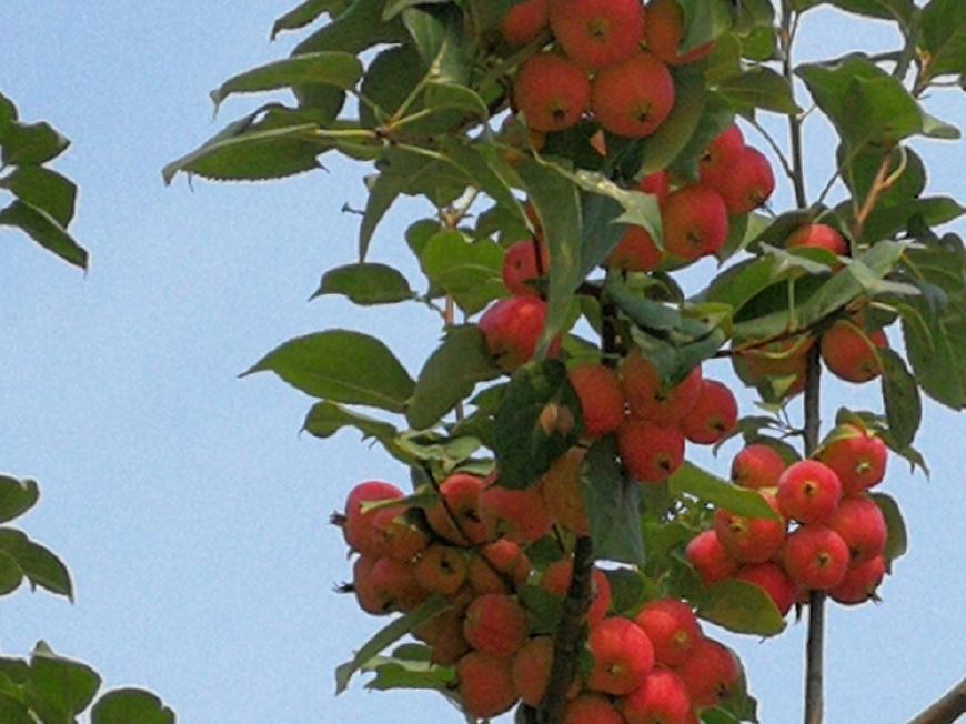 现钞和现汇有什么区别,现钞现汇二者的区别大对比分享(图1)