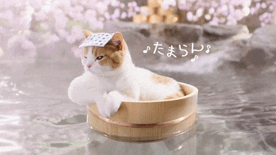 日本留学生一年花多少, 日本留学的费用明细清单附热门专业分享(图1) 日本留学 | 日本留学的费用清单及热门专业推荐