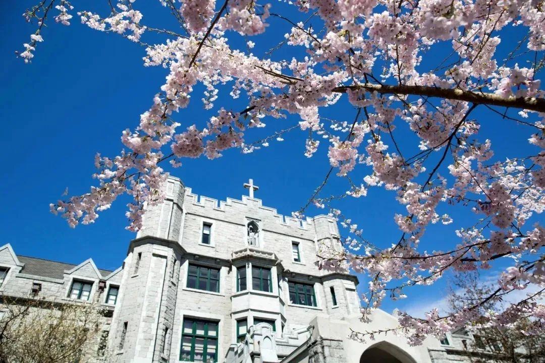 高中出国留学加拿大多少钱一年,初次赴加拿大读高中必看的留学全攻略分享(图12)