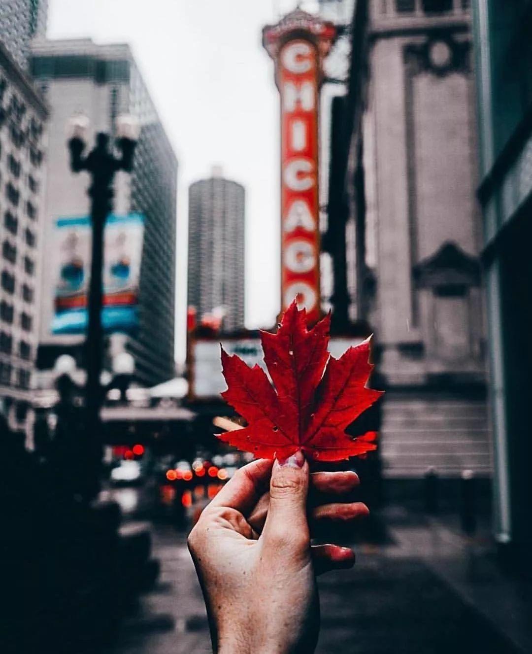 初三美国留学上高中申请条件有哪些,美国高中留学的相关事宜整合分享(图2)