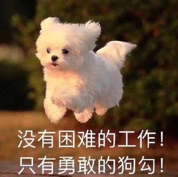 出国留学读兽医好吗,超详细的国外兽医学专业解读分享(图2)