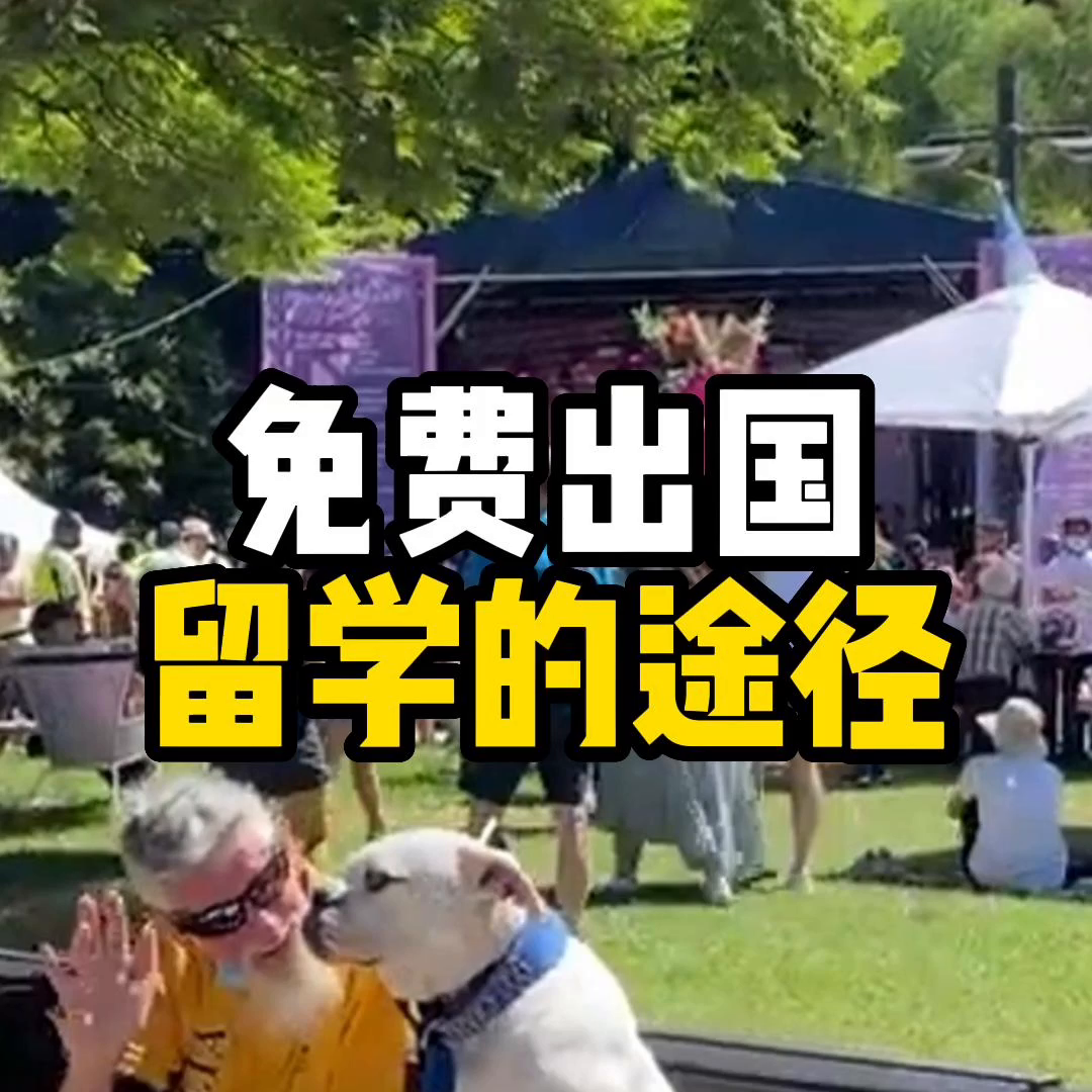 如何出国留学免费,留学必知的3个免费留学途径介绍(图1)