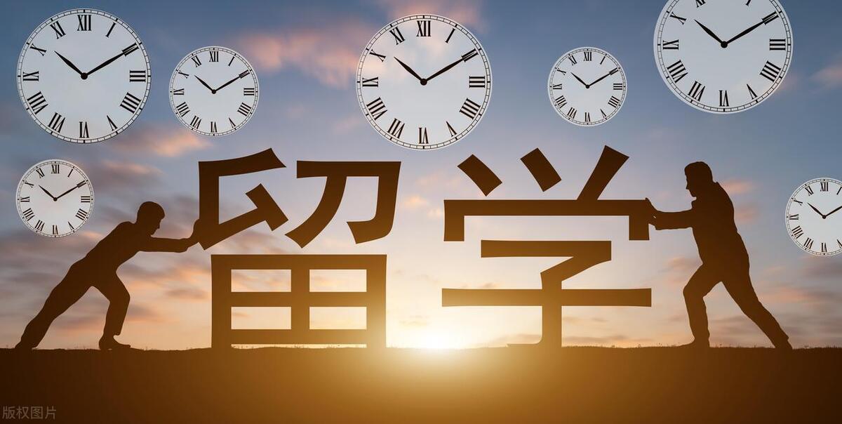 出国留学分为几种,出国留学的几种途径及优缺点全解(图3)