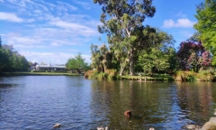 出国新西兰留学体检哪些项目，常见的申请新西兰签证所需要的体检项目分享