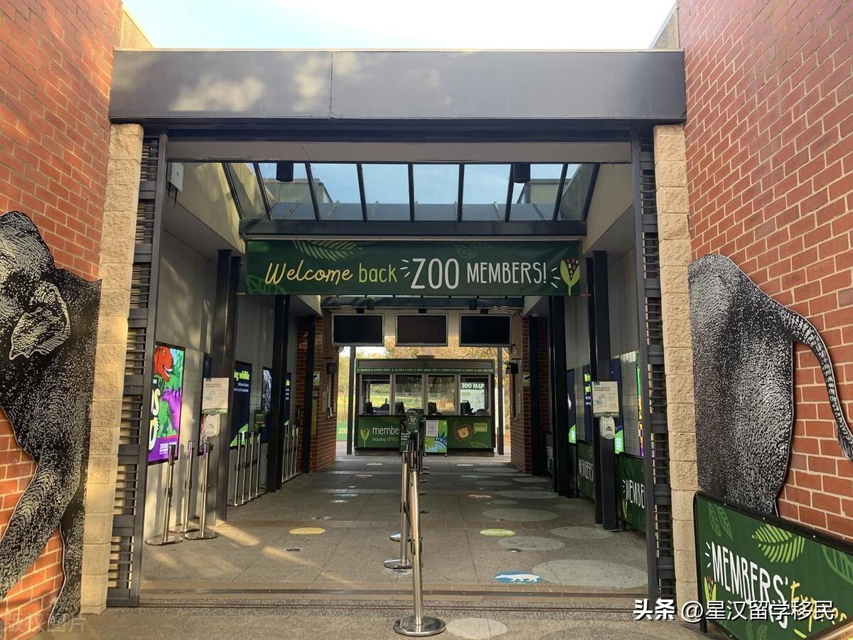 澳洲小学留学寄宿要多少钱,最新澳大利亚小学留学住宿费用情况一览(图2)