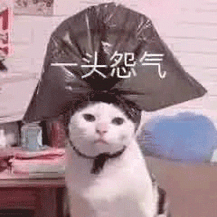 出国留学的骗局有哪些,海外留学的常见套路大汇总(图2)