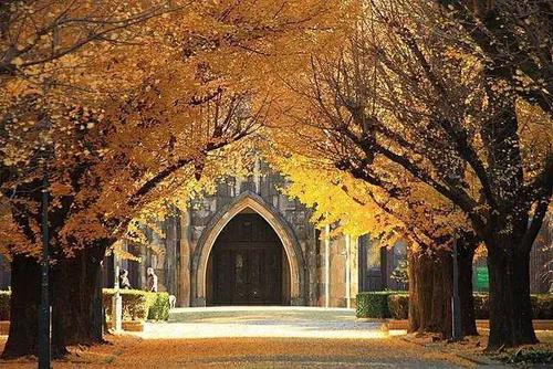 出国日本留学学校哪家好,日本超热门的TOP6院校介绍(图1)