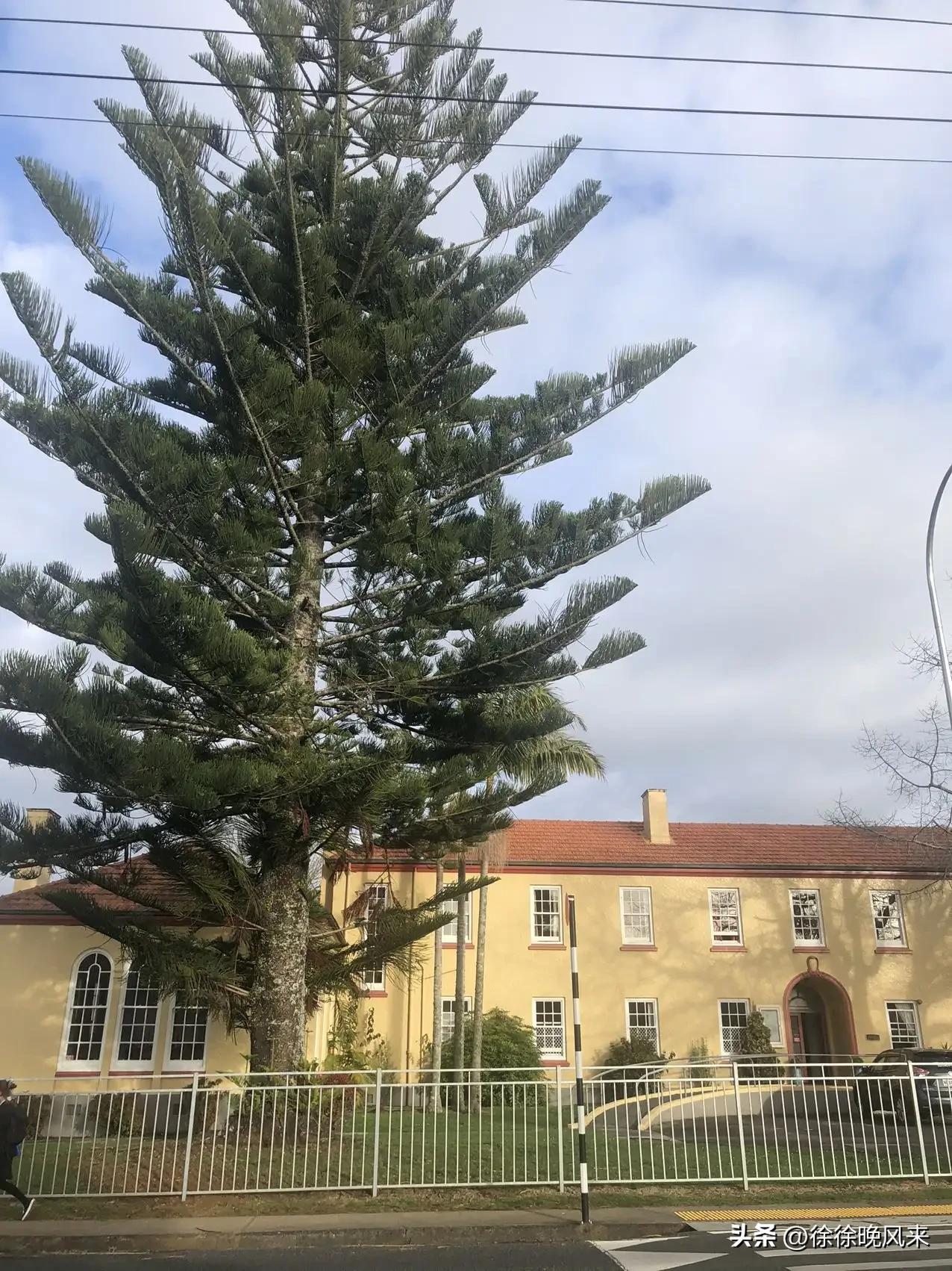 新西兰出国留学一般费用多少,真实的新西兰留学开销分享(图3)