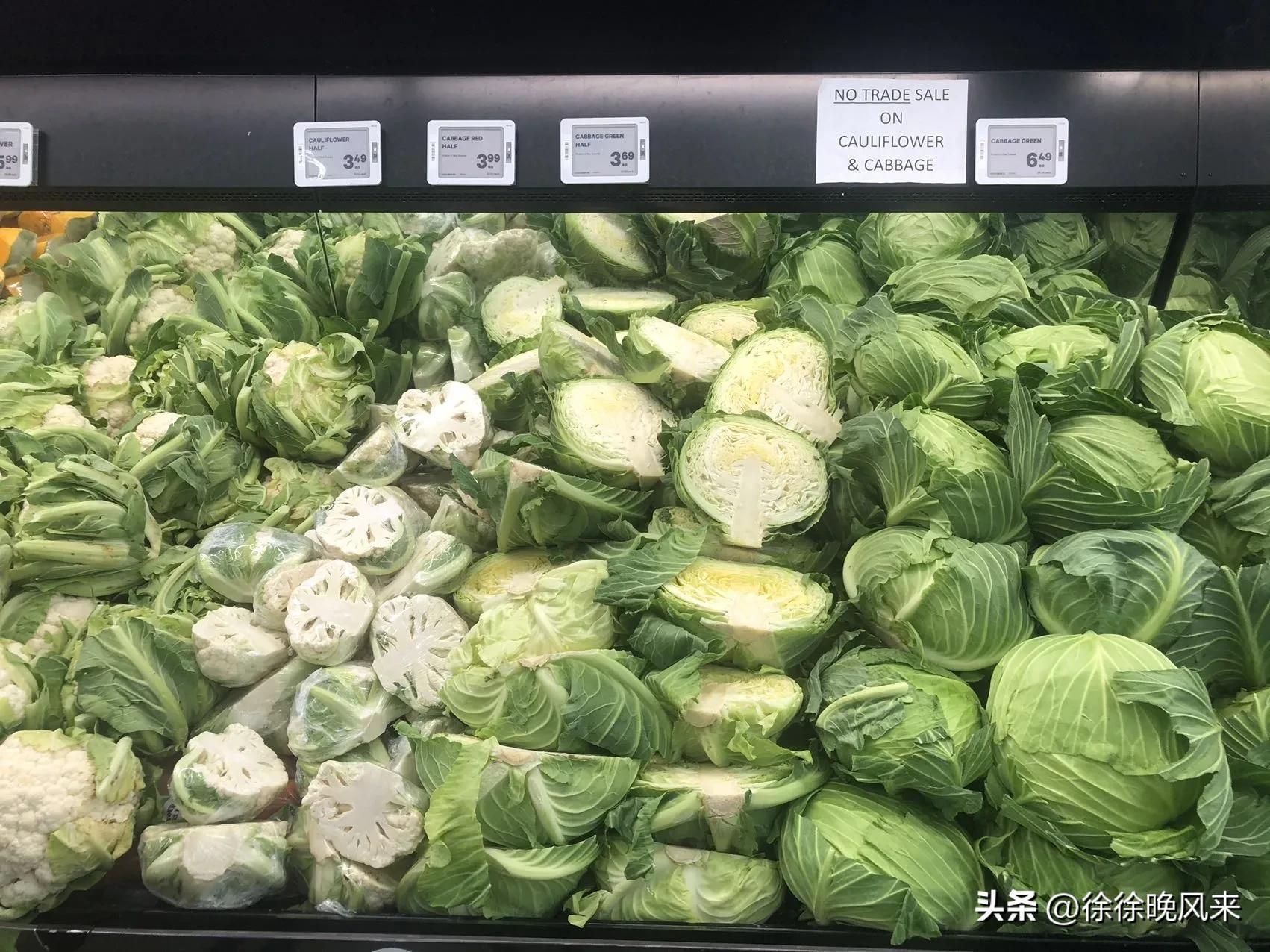 新西兰出国留学一般费用多少,真实的新西兰留学开销分享(图7)