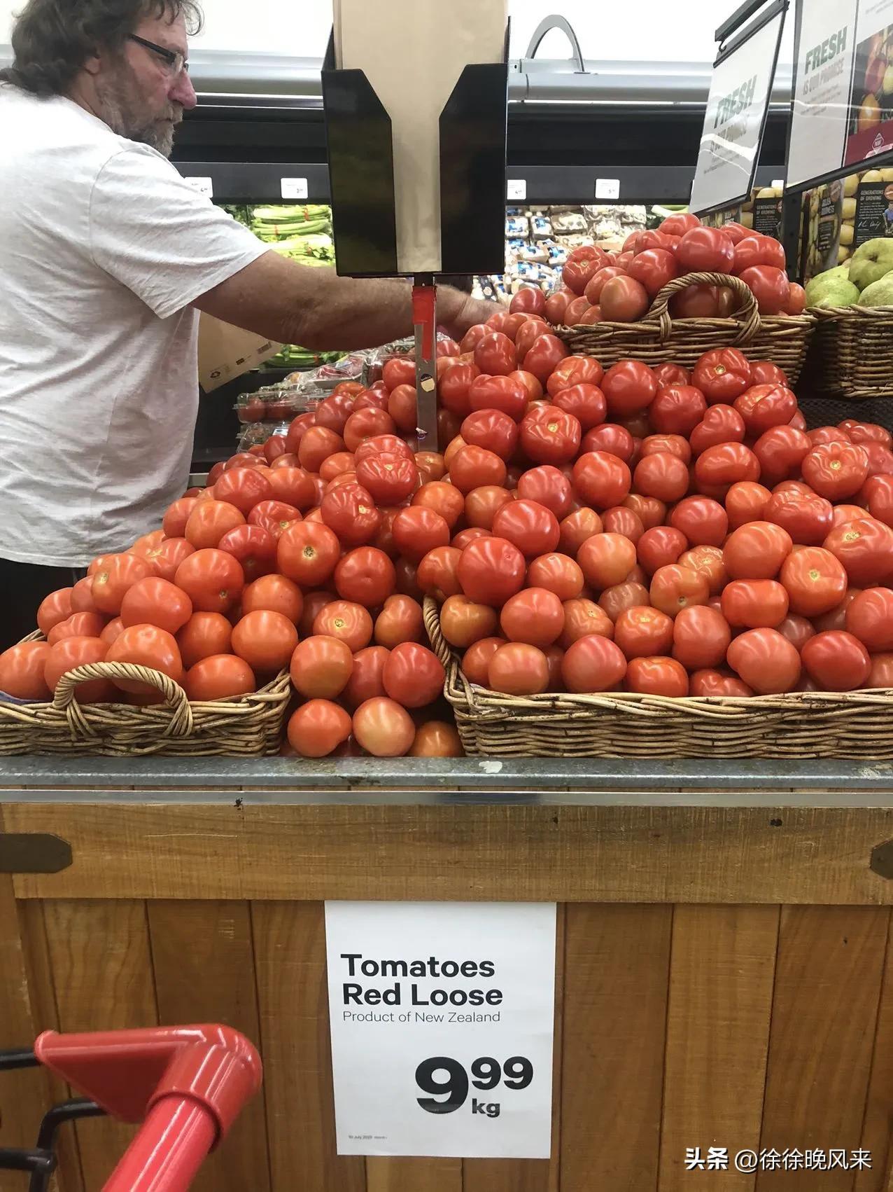 新西兰出国留学一般费用多少,真实的新西兰留学开销分享(图1)