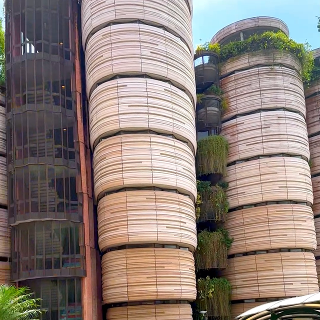 出国读书和在国内读书有什么区别,国内和国外留学的不同全面解析分享(图1) 去国外留学和留在国内读书到底有什么区别?#留学生活