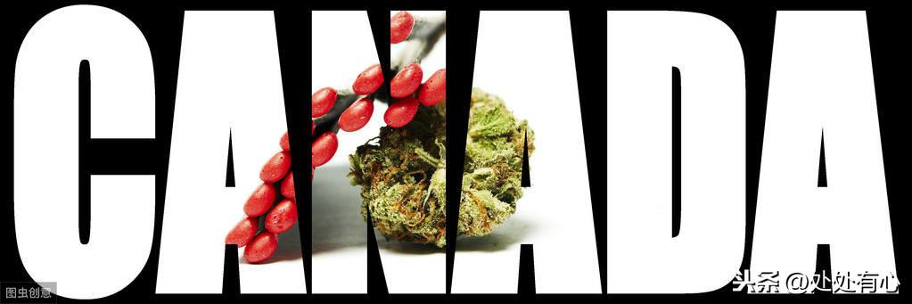 低龄出国留学的利弊有哪些,1216岁孩子留学的12个利弊分享(图6)