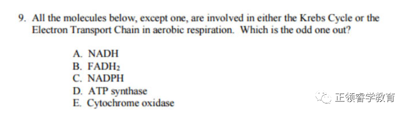 2023 BBO英国生物奥林匹克竞赛开启报名! 2023 BBO英国生物奥林匹克竞赛开启报名!