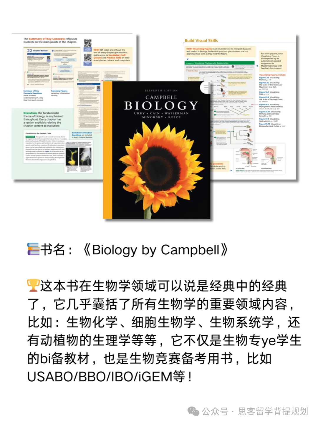 生物顶流竞赛|美国生物奥赛USABO详解,bio usacn和USABO是什么关系? 生物顶流竞赛|美国生物奥赛USABO详解,bio usacn和USABO是什么关系?