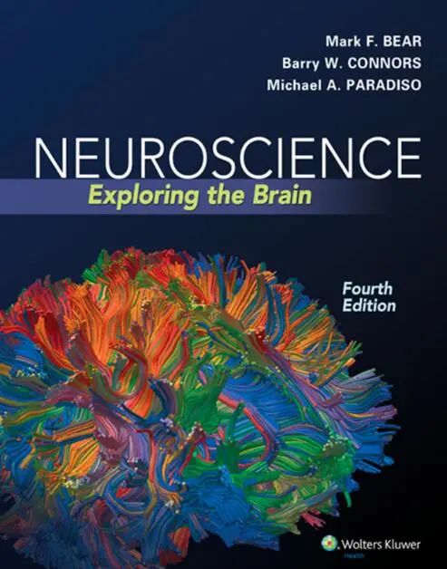 准备Brainbee竞赛备考难点有哪些?Brainbee竞赛备考书籍(电子版可领)! 准备Brainbee竞赛备考难点有哪些?Brainbee竞赛备考书籍(电子版可领)!