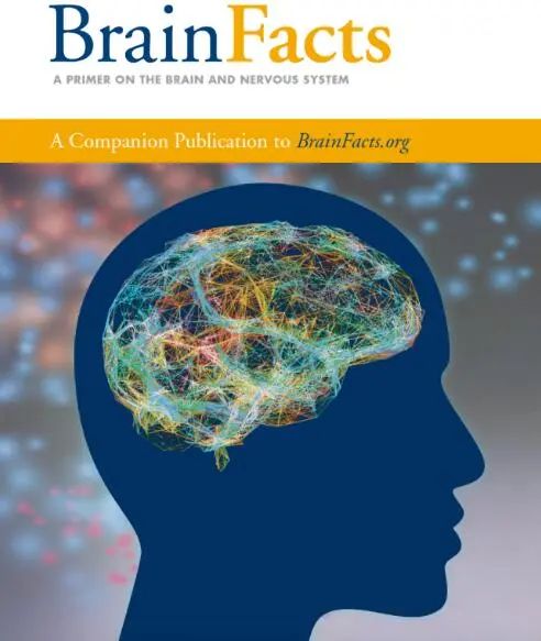 准备Brainbee竞赛备考难点有哪些?Brainbee竞赛备考书籍(电子版可领)! 准备Brainbee竞赛备考难点有哪些?Brainbee竞赛备考书籍(电子版可领)!