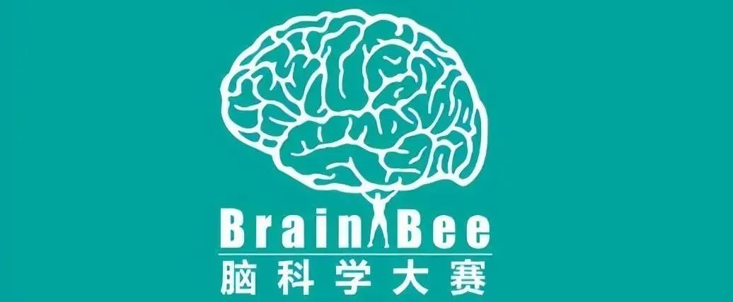 准备Brainbee竞赛备考难点有哪些?Brainbee竞赛备考书籍(电子版可领)! 准备Brainbee竞赛备考难点有哪些?Brainbee竞赛备考书籍(电子版可领)!