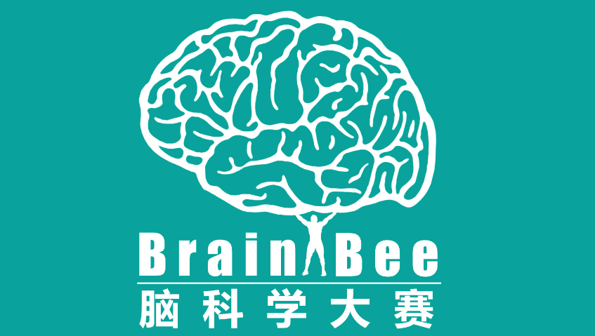 USABO、BBO、BrainBee、IGEM、HOSA五大国际生物竞赛!真心建议大家参加 USABO、BBO、BrainBee、IGEM、HOSA五大国际生物竞赛!真心建议大家参加