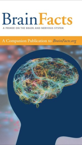 高含金量竞赛|Brain Bee脑科学大赛一文详解! 高含金量竞赛|Brain Bee脑科学大赛一文详解!