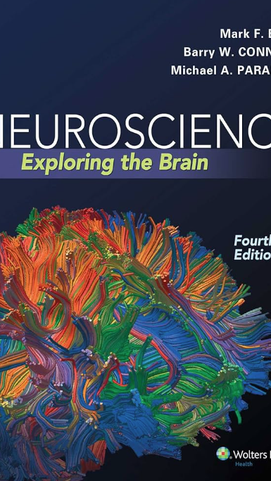 高含金量竞赛|Brain Bee脑科学大赛一文详解! 高含金量竞赛|Brain Bee脑科学大赛一文详解!