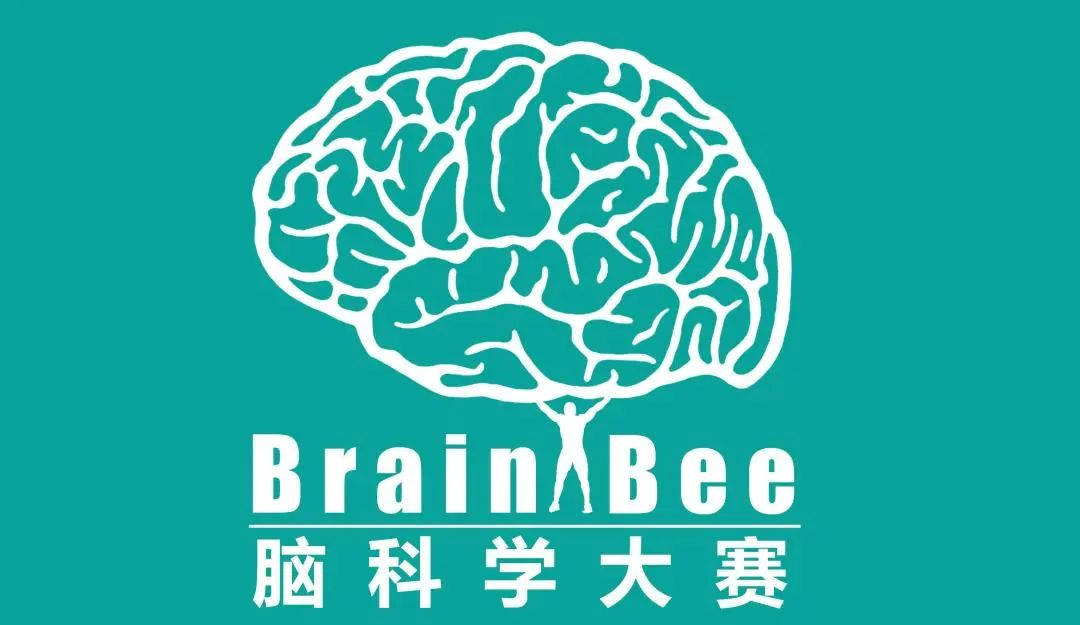 高含金量竞赛|Brain Bee脑科学大赛一文详解! 高含金量竞赛|Brain Bee脑科学大赛一文详解!