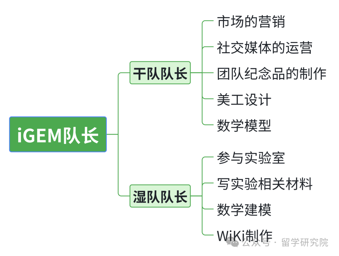 iGEM竞赛是什么?iGEM竞赛为何如何受欢迎?iGEM竞赛适合什么学生参加? iGEM竞赛是什么?iGEM竞赛为何如何受欢迎?iGEM竞赛适合什么学生参加?