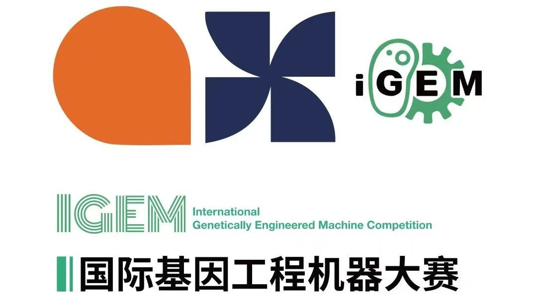 iGEM奖项设置如何?评奖标准是怎样的? iGEM奖项设置如何?评奖标准是怎样的?