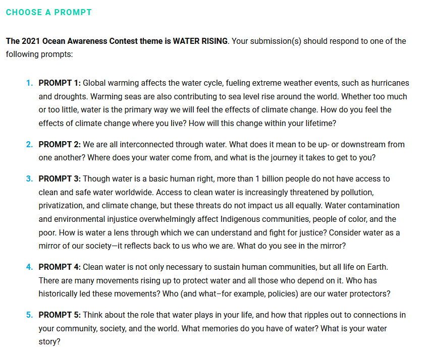 Bow Seat 海洋意识竞赛 Bow Seat 海洋意识竞赛