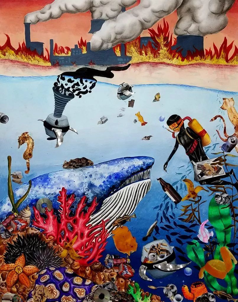 Bow Seat 海洋意识竞赛 Bow Seat 海洋意识竞赛