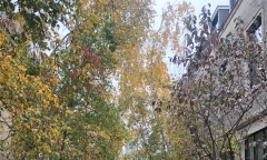 新西兰留学留学生生活指南