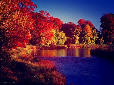 你满足移民加拿大的条件了吗？