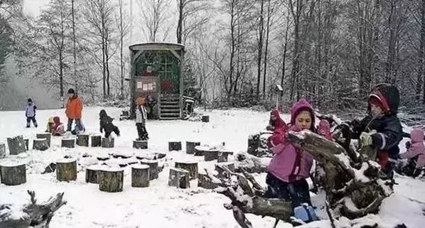 德国教育到底好在哪里？