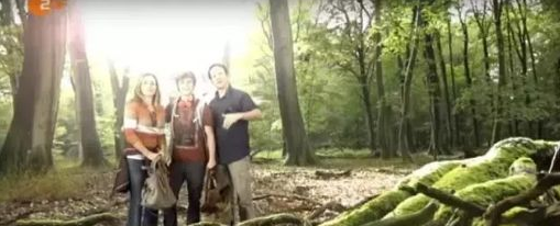 1528365590485157.png 移民德国后,我们该如何生活