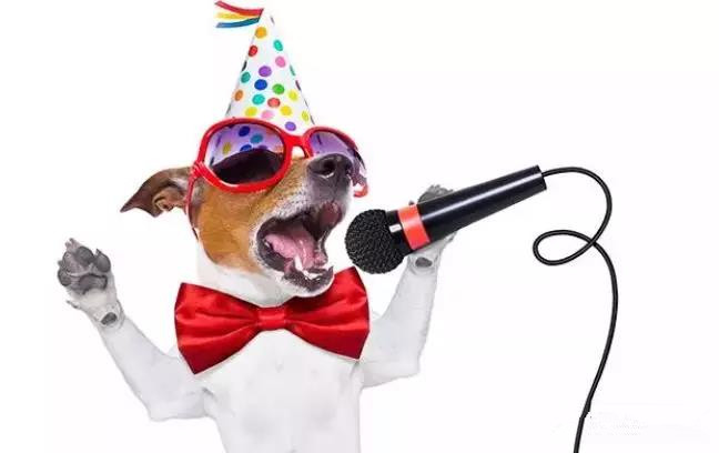 这些行为在新加坡是犯法的，90%的人还不知道！