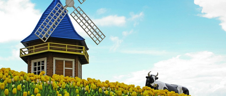 移民荷兰，领略荷兰十大著名旅游景点