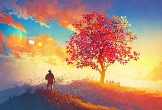 美国将取消非移民美国落地出生公民权？！