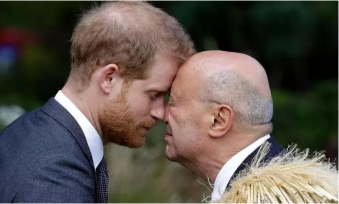 1541993660380884.png 英国王室访新西兰:碰鼻礼竟如此有趣!