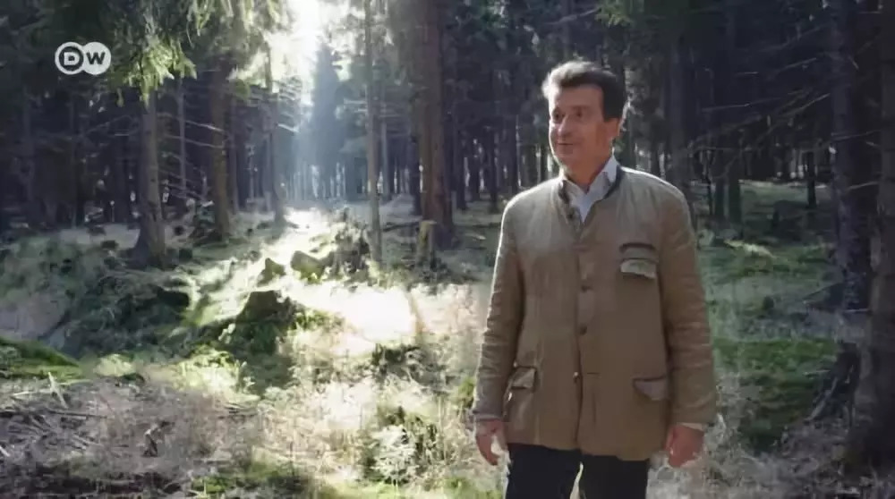 德国的房价在疯涨：在德国，5%的人拥有50%房子