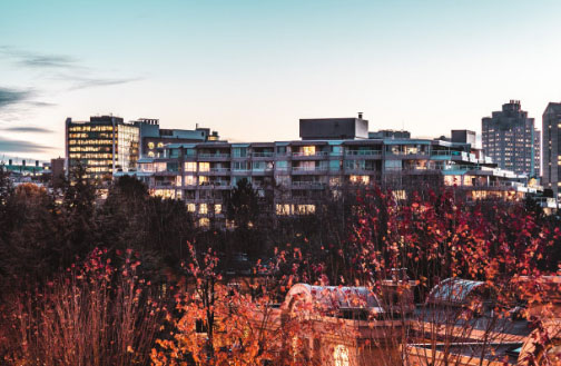 我曾以为，500万卖掉北京房子可以过神仙般生活，可一切又回到原点