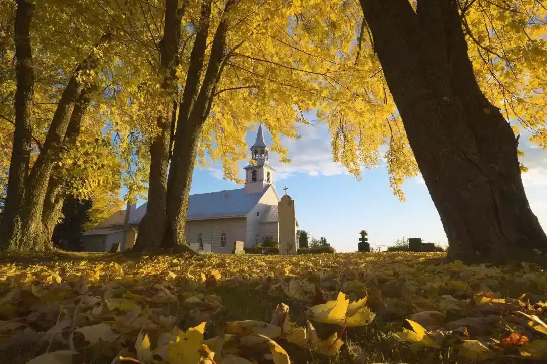 加拿大打工也能享受生活！